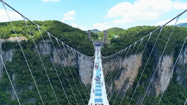 Don’t look down! 