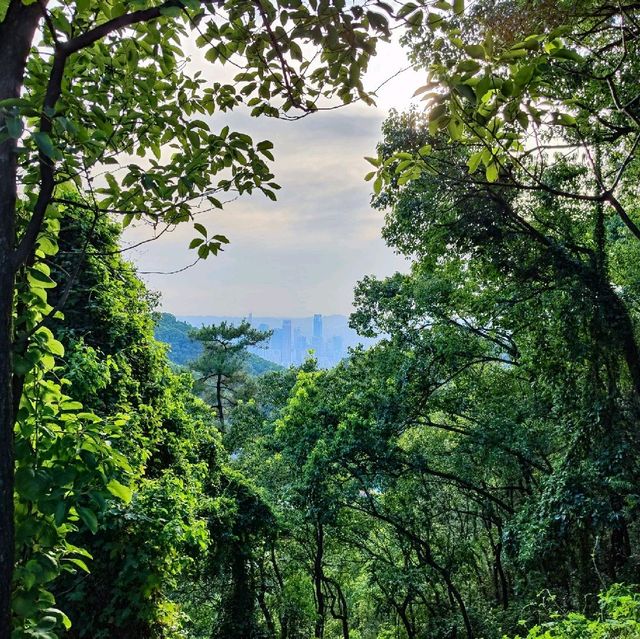 Nanshan scenic area 🇨🇳 Chongqing 