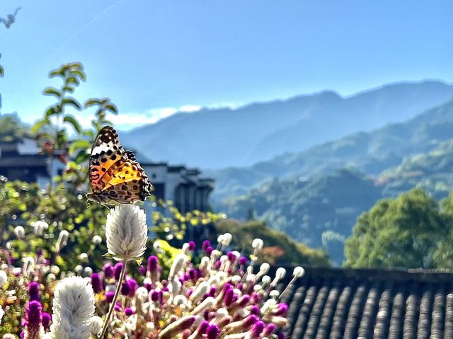 環中國騎游（第六十八天-摩旅+曬秋）