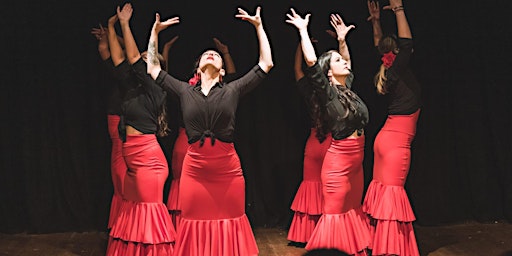 Art of Flamenco Workshop | FitzGerald Debating Chamber
