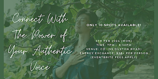 Connect With The Power of Your Authentic Voice | Co.