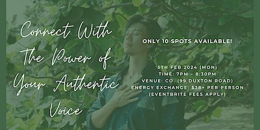 Connect With The Power of Your Authentic Voice | Co.