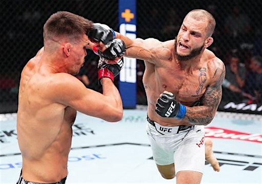 Technique Seminar w/ UFC Fighter Bassil "The Habibi" Hafez & UFC Fight Nigh | 9Round Kickbox Fitness Centennial and Garden of the Gods