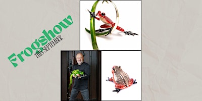 Leap Into Art: The 21st Frogman Show | Westover Gallery