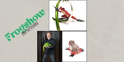 Leap Into Art: The 21st Frogman Show | Westover Gallery