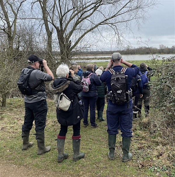 Wildlife Wander at Summer Leys (25th October) | Summer Leys Nature Reserve