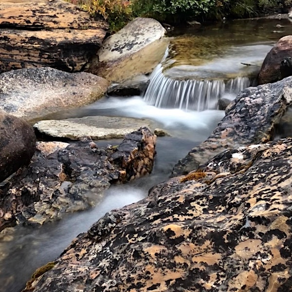 Contemplative Solidarity | St. Laurence Anglican Church