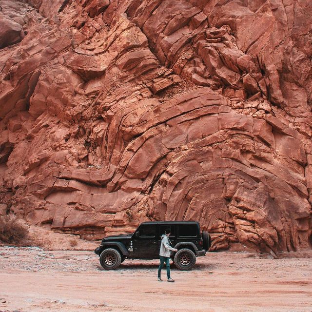 Anza Borrego Desert