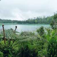 TELAGA WARNA LAKE, WONOSOBO, CENTRAL JAVA