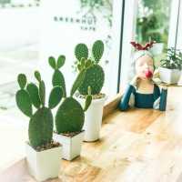 คาเฟ่สีขาวหน้าวัดร่องขุ่น GREENHUT CAFÉ 