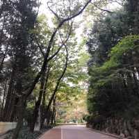 초읍 어린이대공원, 가을 단풍이 아름다운 곳