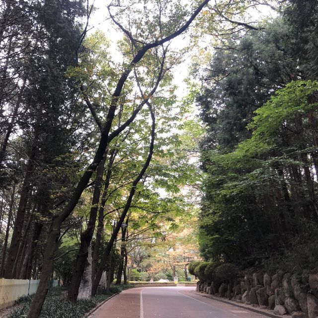 초읍 어린이대공원, 가을 단풍이 아름다운 곳