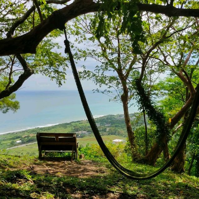 【台東 秘境 】台東秘境星龍花園、180度無敵海景、空中花園、 咖啡、美食、下午