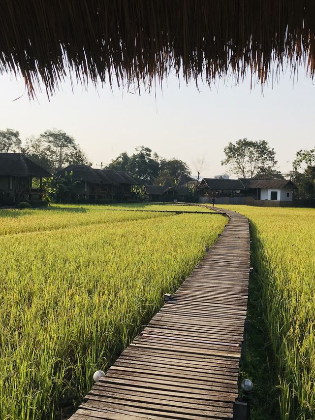 Vang Vieng 