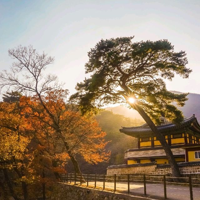 가을 단풍 여행 '울산 석남사'