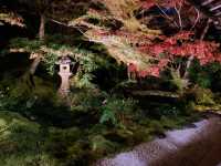 京都[紅葉めぐり]   幻の紅葉　瑠璃光院