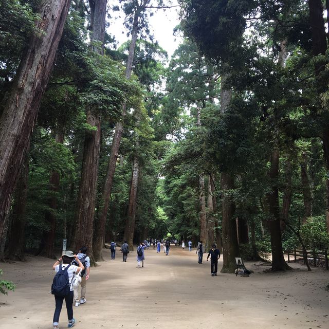 池と森とパワースポット