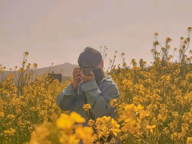 <창원, 주남저수지> 어느 봄