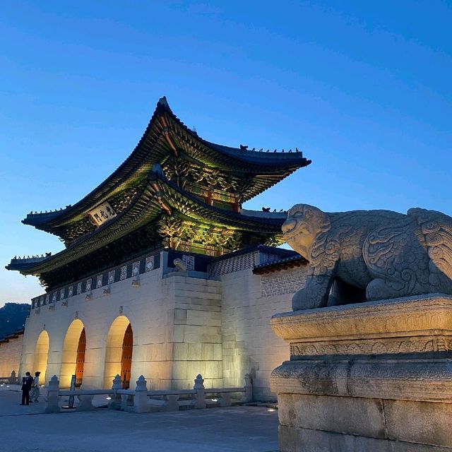 경복궁 야간개장 예매 실패 시 무료 입장 방법!