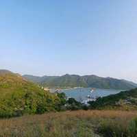 明知山有🐯偏向🐯山行