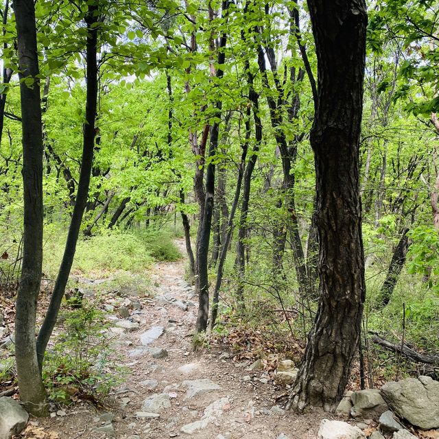 등린이가 가기좋은 인천 명산 계양산⛰
