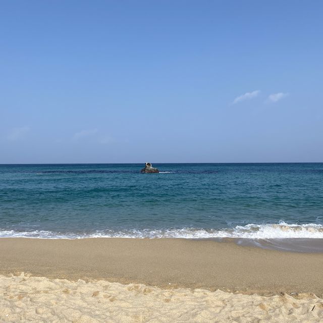 강릉 대표 바다🌊안목해변으로 가요