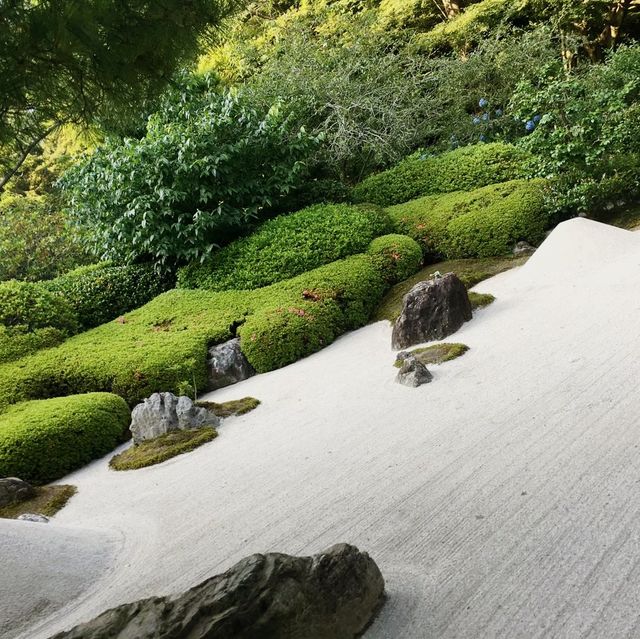 【神奈川県】明月院ブルーを愛でる！