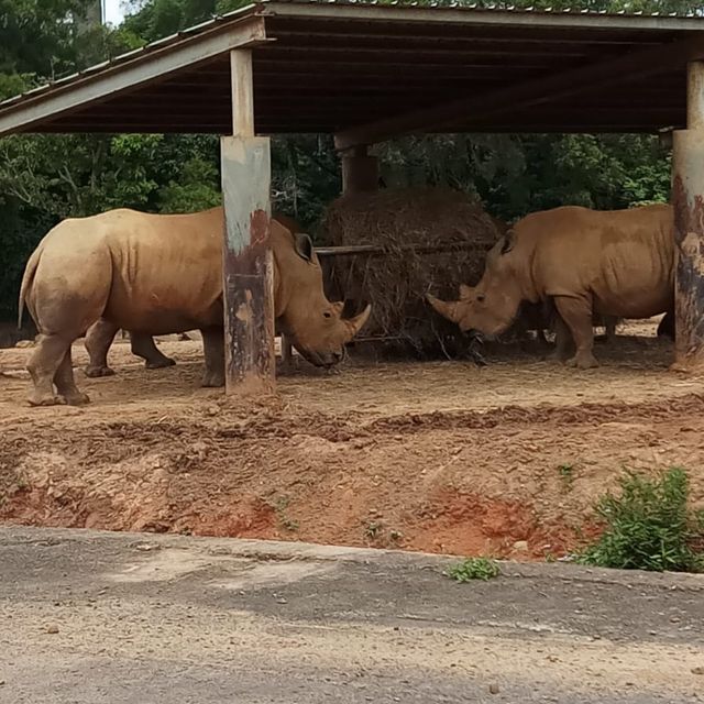 台灣六褔村樂園