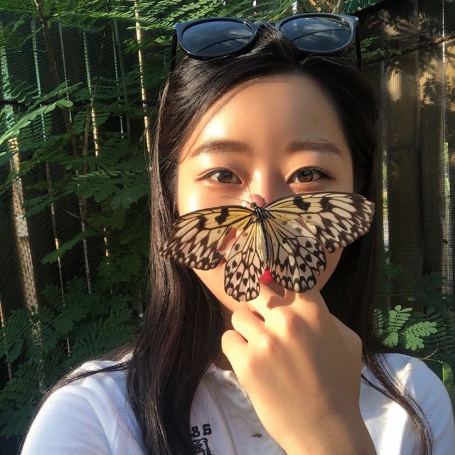 필리핀 보홀 동물원에서 뱀 만지기 체험하기 