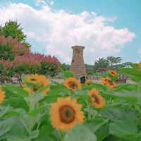 🌻해바라기와 함께 신라의 매력을 느낄 수 있는곳 [경주, 첨성대]