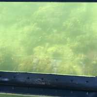 海下灣海洋生物中心