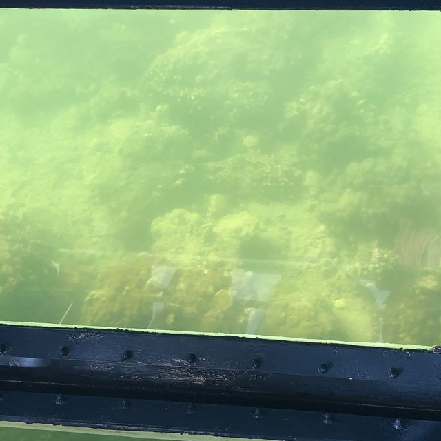 海下灣海洋生物中心