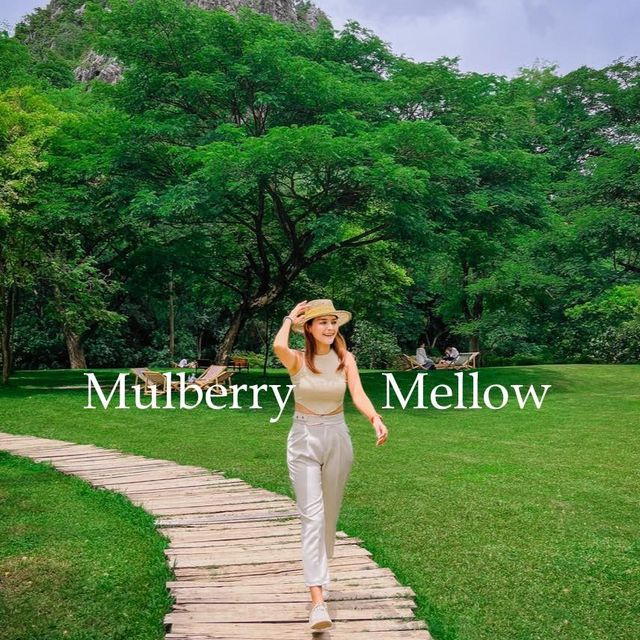 คาเฟ่ที่มีวิวสวนสวยๆ สีเขียวๆสลายตาสุดๆ