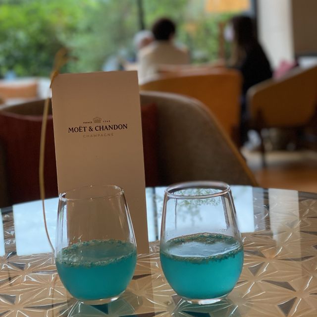 箱根強羅　洗練されたデザインのホテル旅館🍷【ホテルインディゴ箱根強羅】
