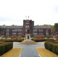 Yonsei University colours of fall