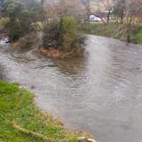 near warbouton