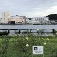 【横須賀】これっきりですか。