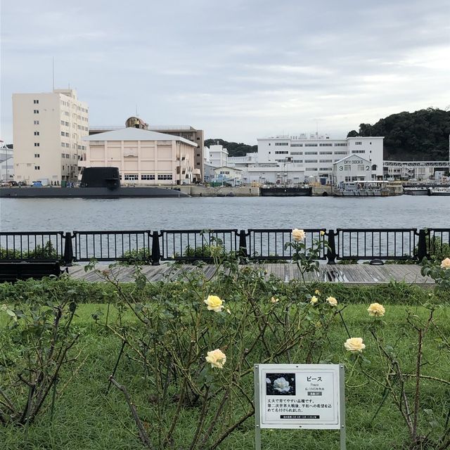 【横須賀】これっきりですか。