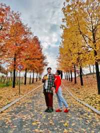 경남 거창 도시숲죽전공원, 분설담은 단풍놀이 숨겨진 명소🍂🍁