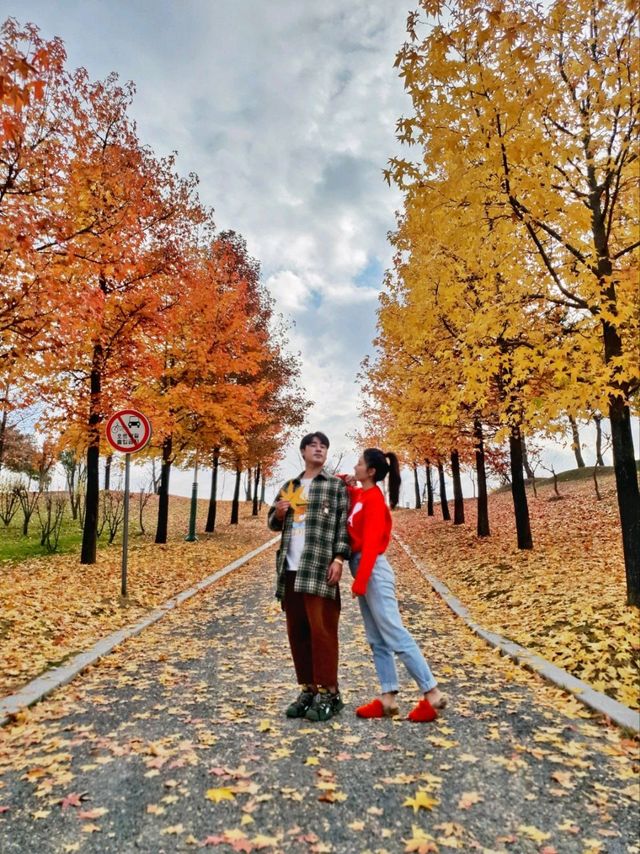 경남 거창 도시숲죽전공원, 분설담은 단풍놀이 숨겨진 명소🍂🍁