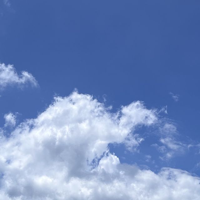 altTitle