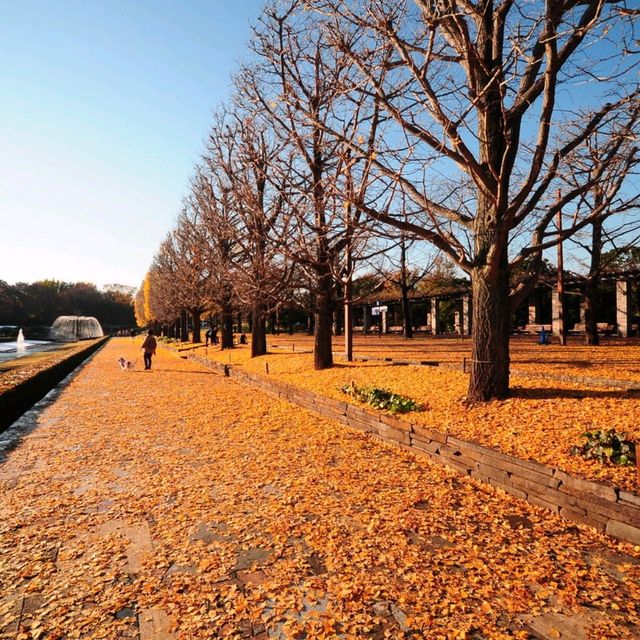 BEST TOKYO AUTUMN SPOT