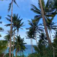 หนีร้อนท่องทะเล เกาะเต่า จ.สุราษฎร์ธานี