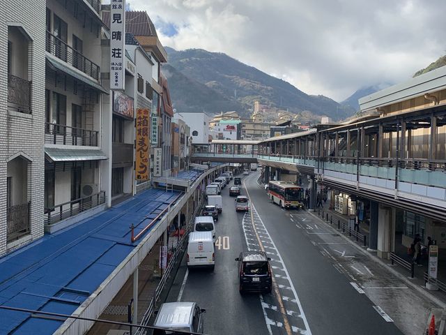 The city overlooking Mt Fuji!