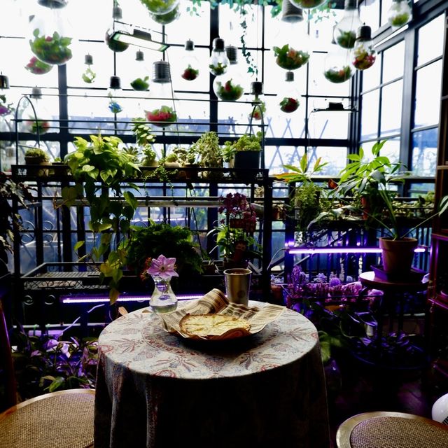 看海植物園cafe之微波爐食物 看海植物園cafe之微波爐食物