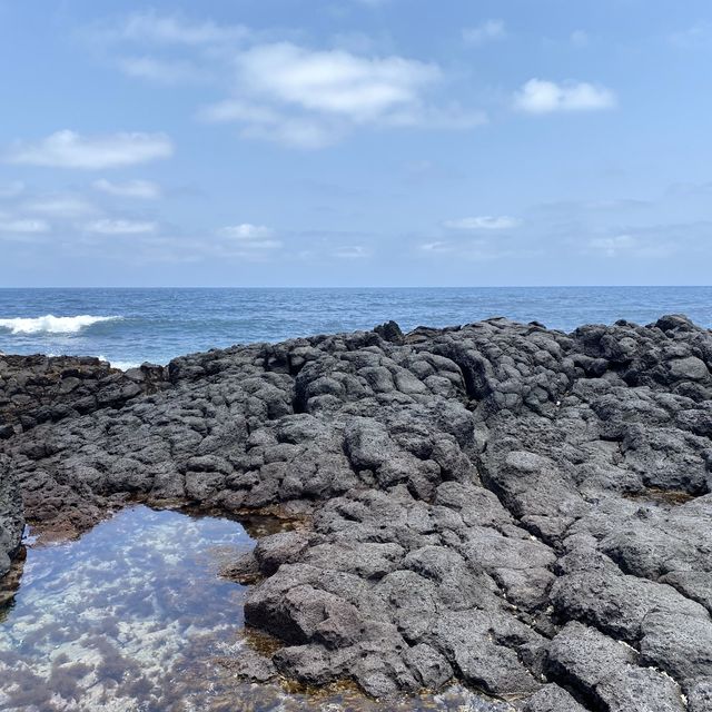 떠나요~제주도~푸른바다로~