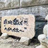 かえる寺❣️しあわせな言葉がたくさん❣️