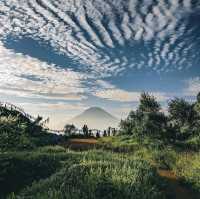 SI KUNIR : DIENG