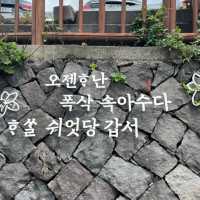 제주의 탁 트인 절경을 보고 싶다면 하루 시간 내주세요🔅