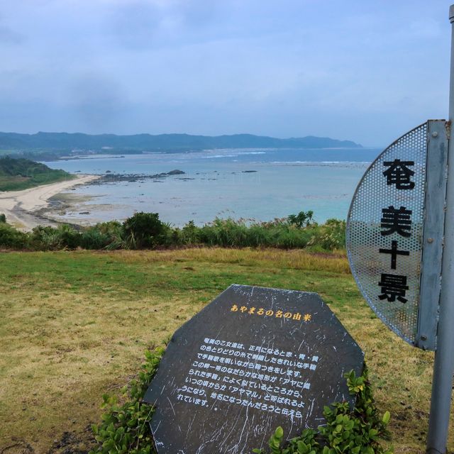 カフェも併設！奄美大島の観光案内所！